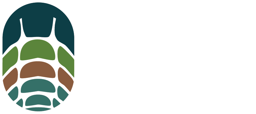 Stonehammer Geopark logo