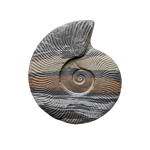 AdobeStock_1637803025-cutout 1