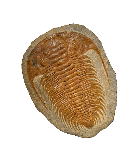 AdobeStock_688227966-cutout 1