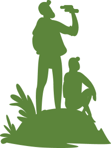 Vector