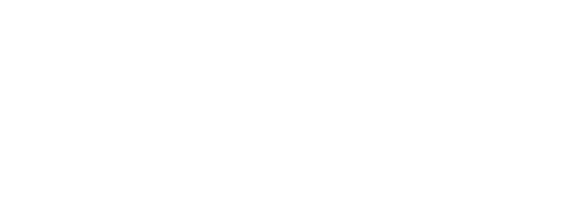 bfl-logo 1